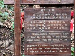 -本溪汤沟绿石谷森林公园