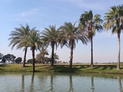 -迪茵湖田家舍生态农场