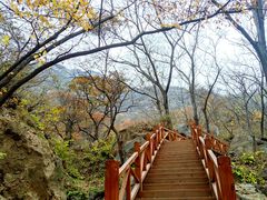 -大岭沟猕猴桃谷风景区