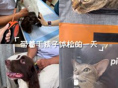 -美联众合动物医院·24h转诊中心