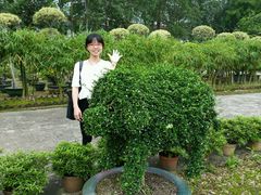 -广东圆玄道观