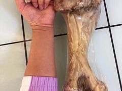 -熊小胖宠物生活馆(天华园店)