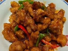 溜肉段-新兴园饺子馆(河南街店)