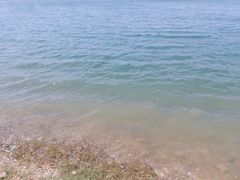 -济南国际园博园