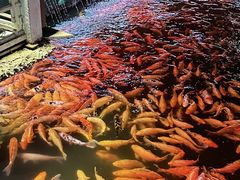 -长春市南湖公园