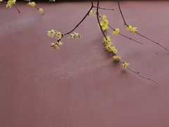 -钱王祠