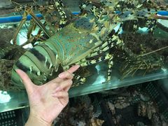 -寻味顺德·南记酒家·传统顺德菜·鱼生(广源路店)