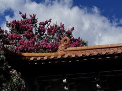 -大理文庙(大理古城)
