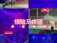 -俄罗斯国家大马戏团