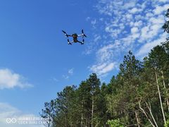 -磐安舞龙峡景区