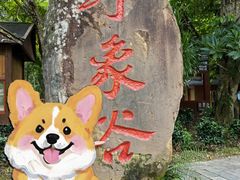 -野象谷景区