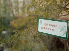 -王尔德与花