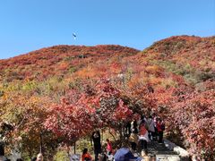-周口店坡峰岭风景区