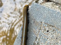 -焦作青龙峡风景名胜区