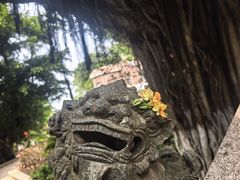 -湄洲岛