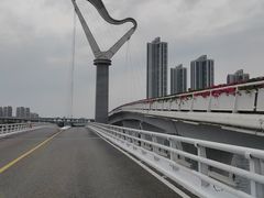 -厦门园林博览苑