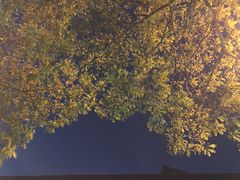 -童程童美少儿编程乐高机器人(环球港校区)