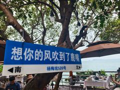 -美人鱼悬崖海景餐厅(鹿嘴山庄店)