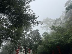 -广州市白云山风景名胜区