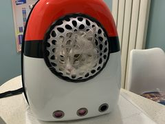 -纳吉亚猫专科动物医院·北北分院