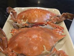 -大锅强·蒸海鲜青岛菜(吾悦广场店)