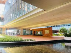 -香港大学
