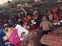 -大湾区中央湿地公园-十九涌