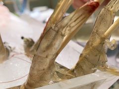 -红鼎豆捞·非遗鲍皇汤火锅(宝丰路店)