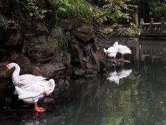 -兰亭风景区