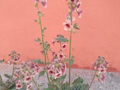 -平西抗日烈士陵园