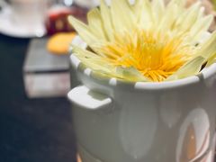 莲花鸡汤-甄御•海鲜新青岛菜(麦岛店)