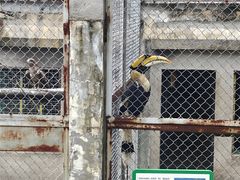 -合肥野生动物园