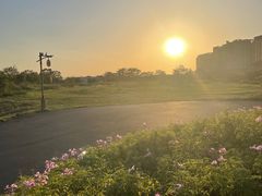 -江门古劳水乡旅游区