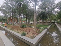 -金山公园