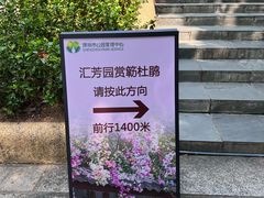 -深圳国际园林花卉博览园