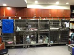 -安安宠医宠物医院·异宠·犬猫内科(岳阳分院)