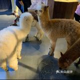 一起来撩吧[调皮]