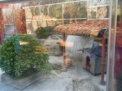 -广东茂名森林公园