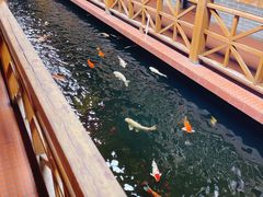 -侠成水上农庄(工业大道店)