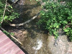 -峡谷浮石林景区