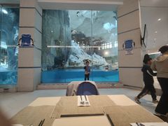 -帝企鹅自助餐厅•儿童岛•真企鹅(长隆企鹅酒店)