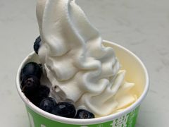 -Salud撒露欧洲冻酸奶(五道口购物中心店)