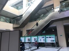 -山东大学齐鲁医院(青岛院区)
