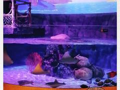 -沈阳海洋探索中心