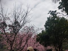 -南溪山景区