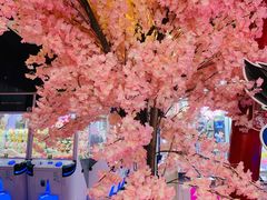 -天天玩X秋葉原日系动漫游戏中心