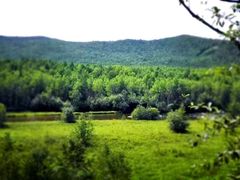 -莫尔道嘎国家森林公园