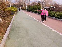 -滨河世纪广场公园
