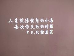 -成都失恋馆