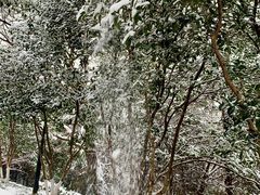 -太子山公园(园东路)